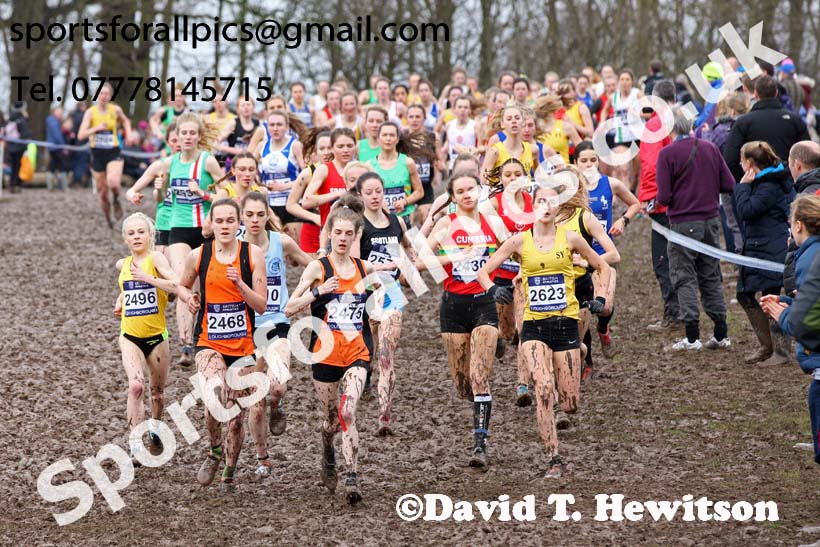 Womens under-20s 2018 British Inter Counties Cross Country Champs., Prestwold Hall, Loughborough. Photo: David T. Hewitson/Sports for All Pics